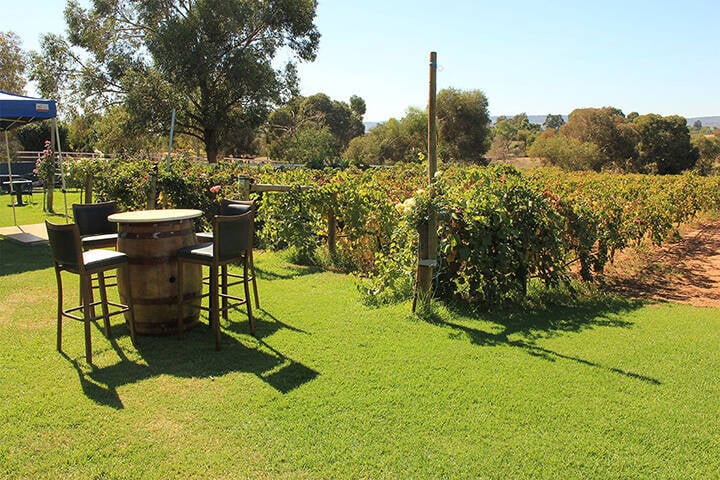 Outdoor wine tasting at Black Swan Winery in Swan Valley 