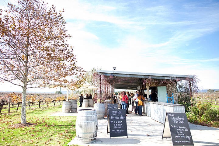 Wine tasting at Lancaster Wines, Swan Valley 