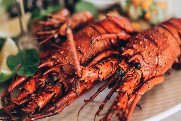 Fresh lobster feast cooked by locals, Samoa