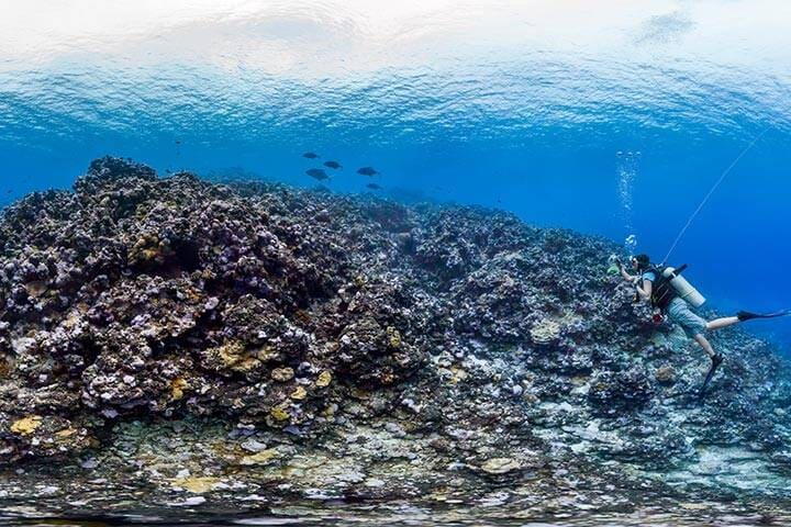 Snorkeller diving underwater in Samoa