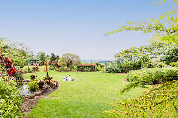 Lush gardens overlooking the Sunhine Coast Hinterland with exotic birds at Maleny Botanic Garden & Bird World 