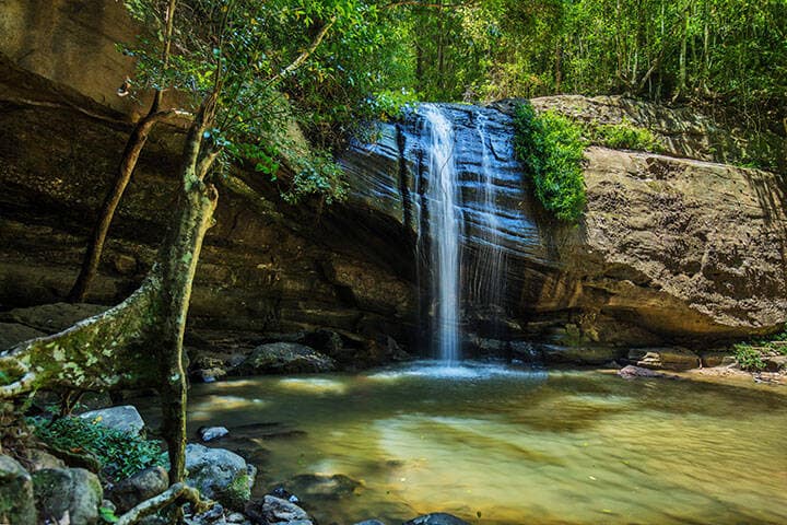 Serenity Falls and swimming hole in Buderim Forest Park, Sunshine Coast, Queensland, Australia 