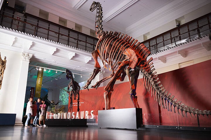 Family enjoying exhibit at the Australian Museum, Sydney