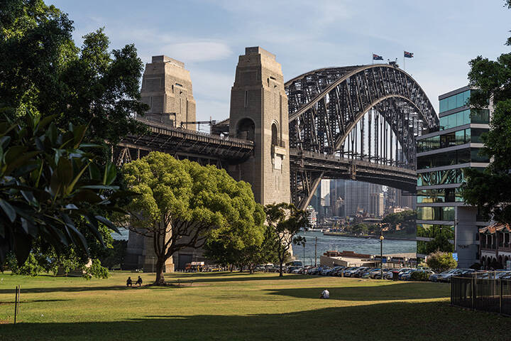 A scenic view of the Sydney Harbour Bridge from Bradfield Park, with green grass in the foreground and the sparkling harbour beneath on a sunny day against a bright blue sky.