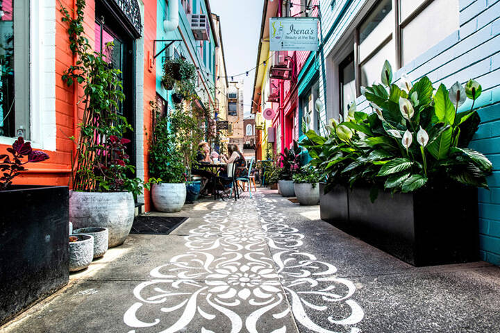 Bright and colorful shops with stunning architecture line Collins Avenue in Rose Bay, creating a lively and inviting atmosphere.