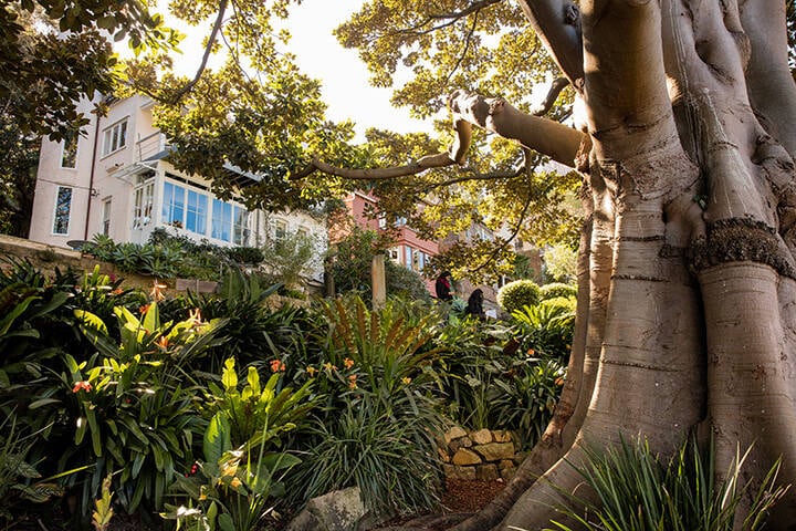 Wendy Whiteley's Secret Garden, Lavender Bay