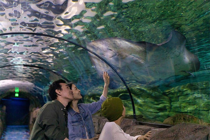 SEA LIFE Sydney Aquarium, Darling Harbour