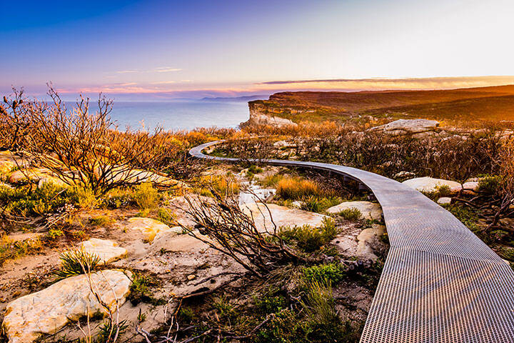 Beautiful Coastal walk in Royal National Park