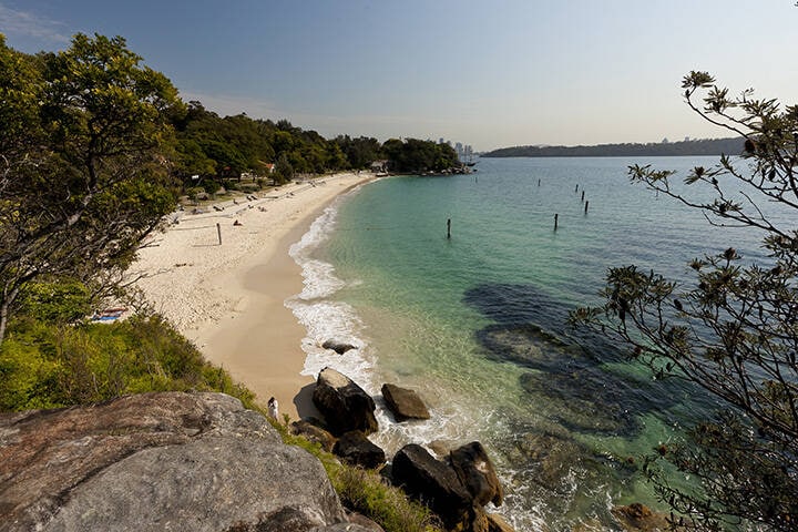 Shark Beach in Nielsen Park - one of the entry points for the Hermitage Foreshore walk