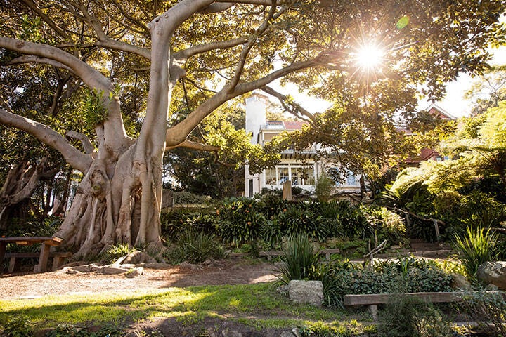 Wendy Whiteley's Secret Garden, Lavender Bay