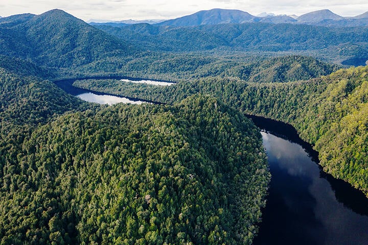 The majestic Gordon River in Strahan, Tasmania
