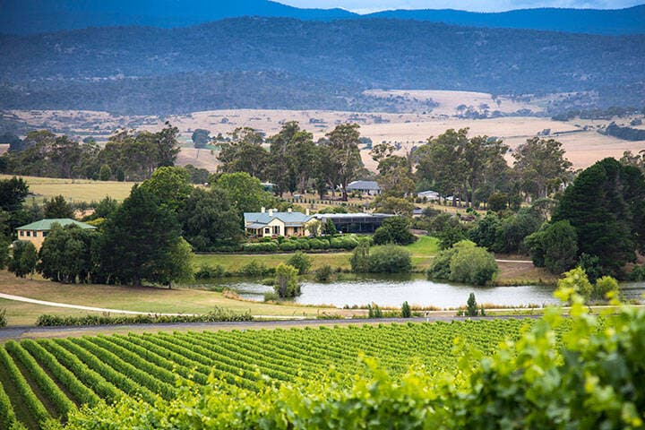 Josef Chromy estate in Tamar Valley Tasmania 