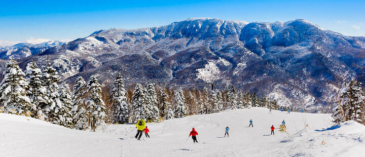 Mountain ski resort Shiga Kogen, Japan - nature and sport background, sunny day, snow pine trees