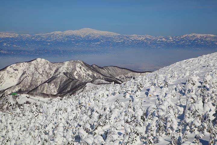 Soft rime and Mt. Gassan in Japan 