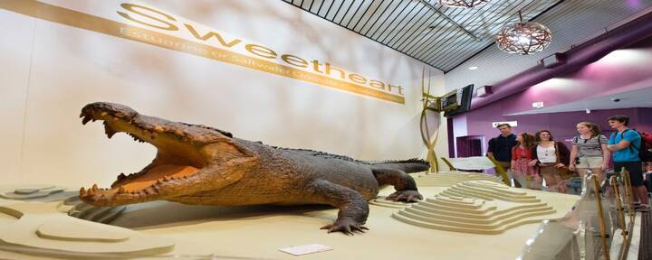 The best museums and galleries to visit in Darwin