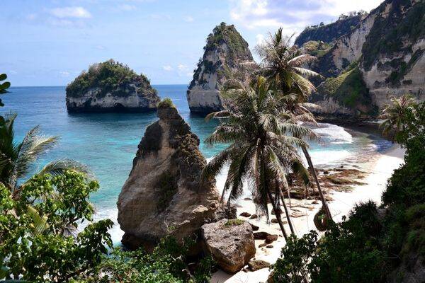Coconut trees white sand at Diamond Beach by Alessio Roversi
