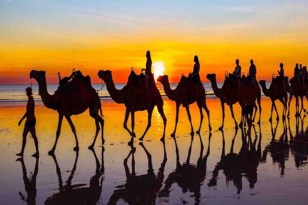 Camel ride Cable Beach Broome, Western Australia