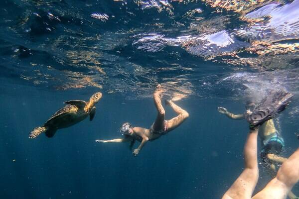 Family swimming underwater with flippers and diving gear in Samoan ocean