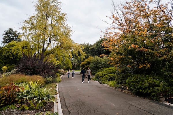 Botanic garden