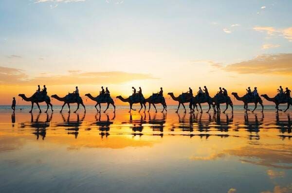 Sunset camel rides at Cable Beach Broome, Western Australia