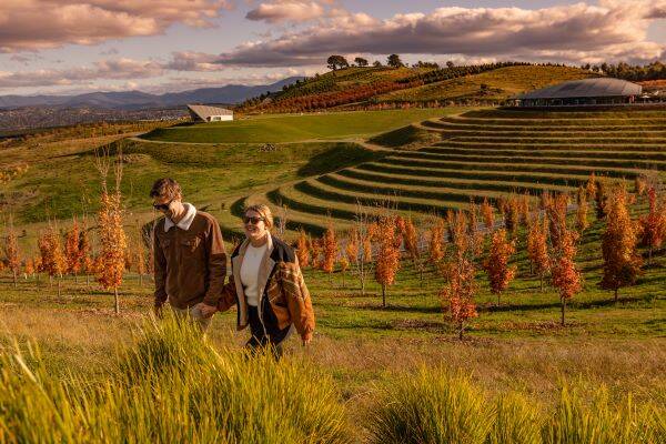 Couple walking through the growing forests of the National Arboretum with terraces and buildings in background 