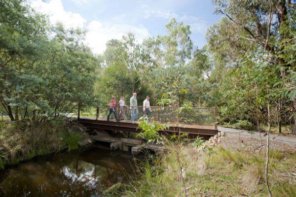 People walking on bridge over wetland sanctuary at Tidbinbilla Nature Reserve