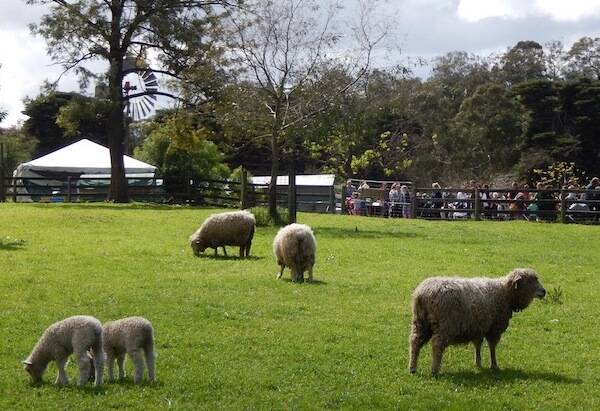 Collingwood Childrens Farm