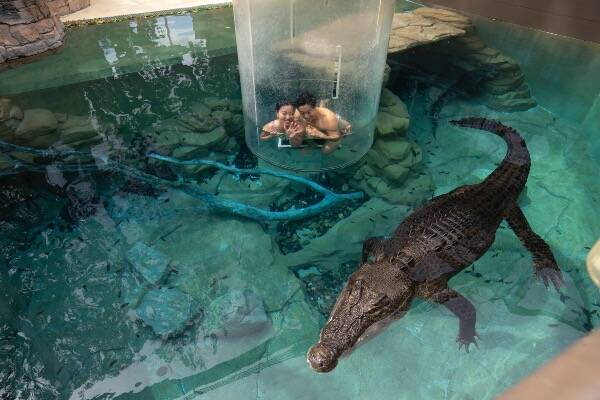 The best museums and galleries to visit in Darwin