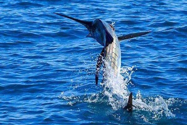 Fishing in Broome, Western Australia