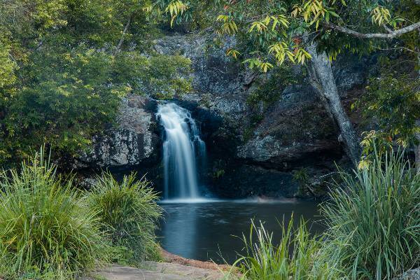 kondalilla-falls