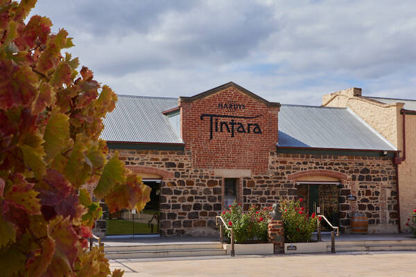 Hardys Tintara McLaren Vale