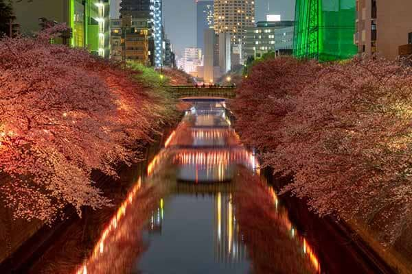 meguro-sky-garden