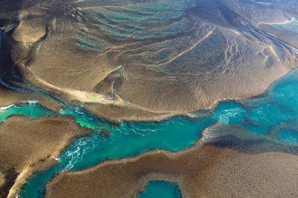 Montgomery Reef, Western Australia