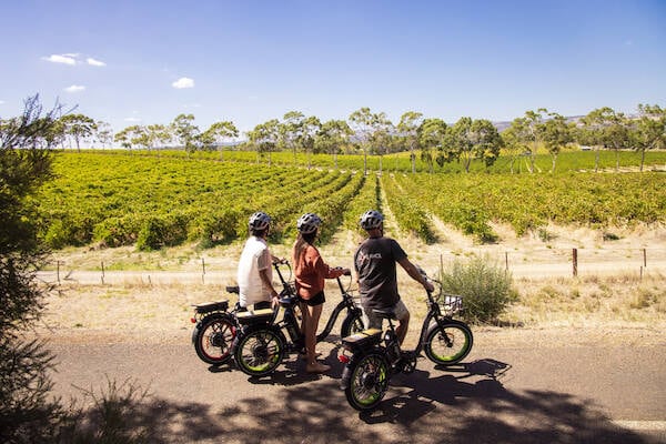 Shiraz Trail