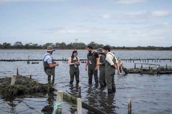 Oyster Bay Tours