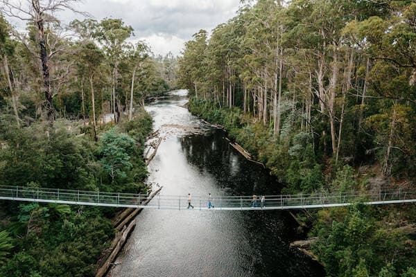 Tahune AirWalk