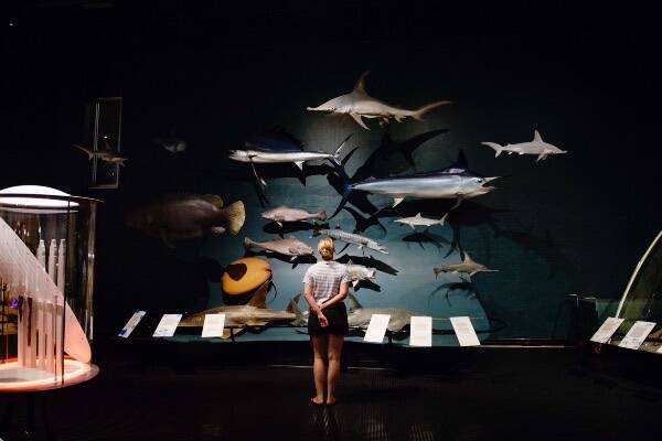 The best museums and galleries to visit in Darwin