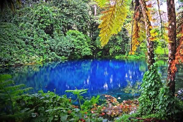 Blue lagoon in rainforest, Vanuatu