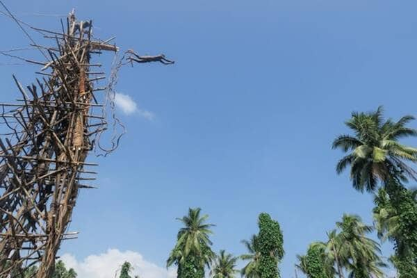 Locals diving off timber tower for Nagol Land Diving Festival, Vanuatu