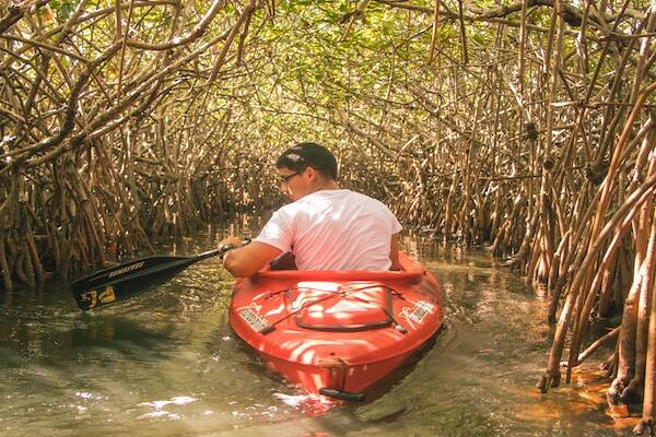 Man kayaking down river, Vanuatu 