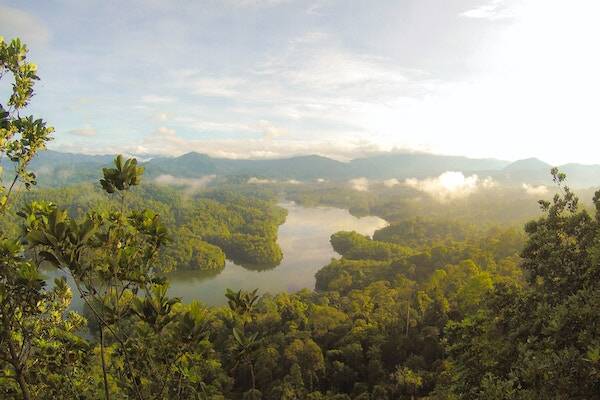 Rainforest surrounding river on Pentecost Island, Vanuatu 