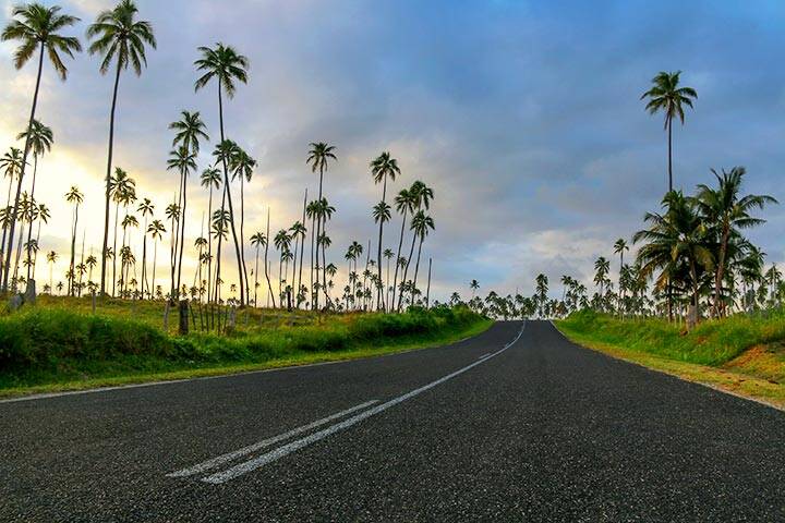 Road lined with palm trees at sunset in Vanuatu