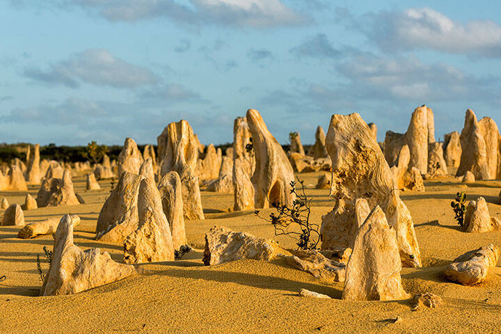 Pinnacles park in Nambung National Park, western australia