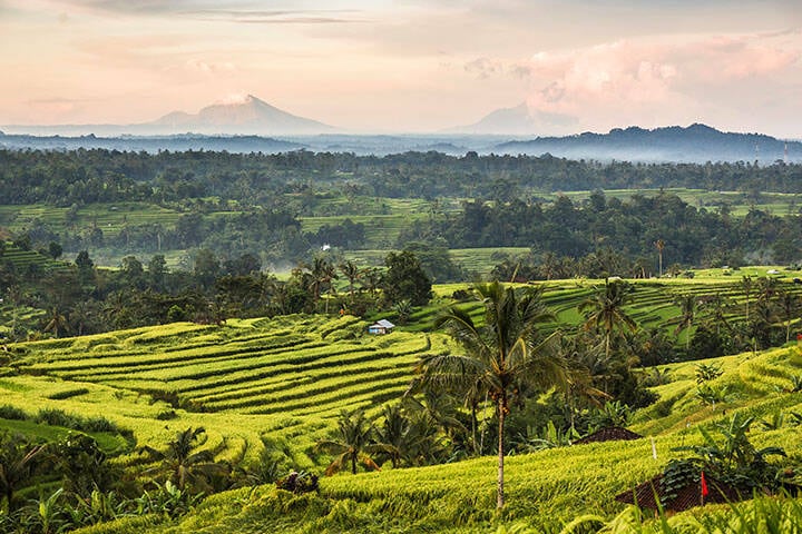 Jatiluwih, Bali, Indonesia
