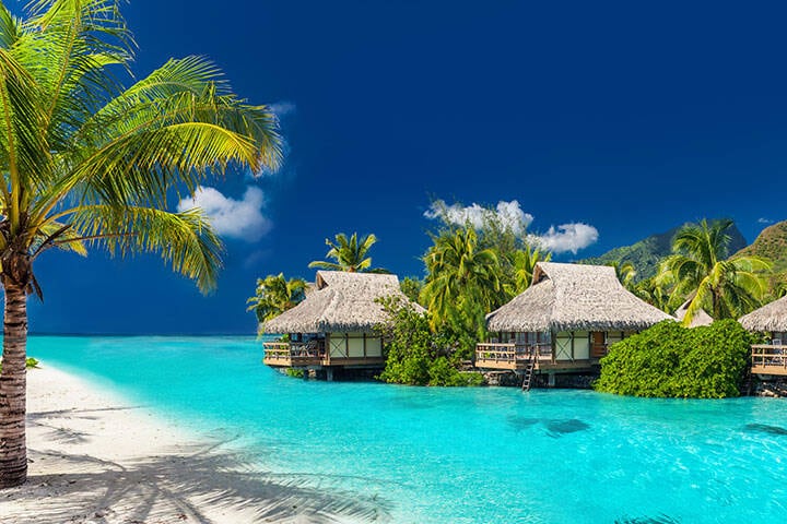 Overwater bungalows, clear water and palm trees in Fiji