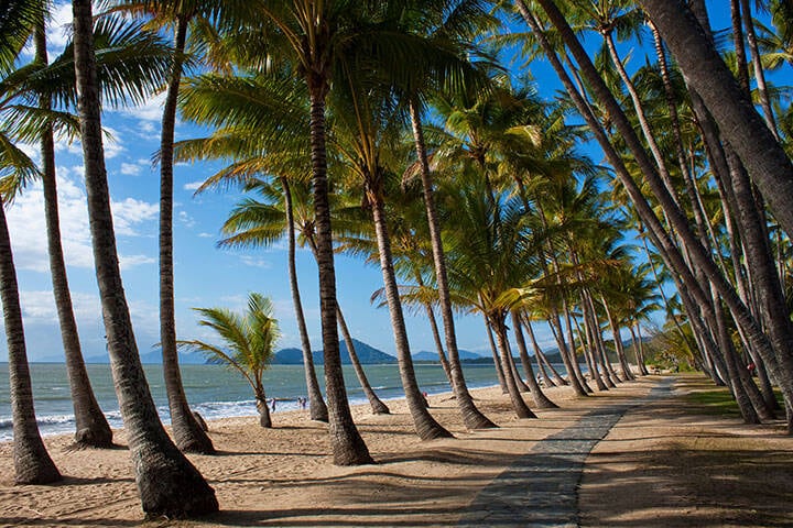 Sand, sea and coconut palms create a paradise setting at the popular tourist destination of Palm Cove, Queensland, Australia.