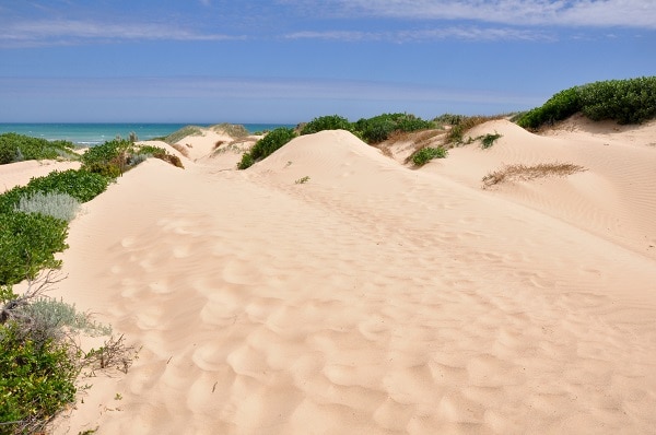Coorong beach