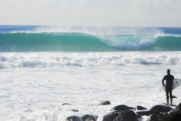 Palm beach
