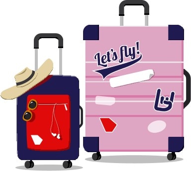 Checked and carry on luggage bags