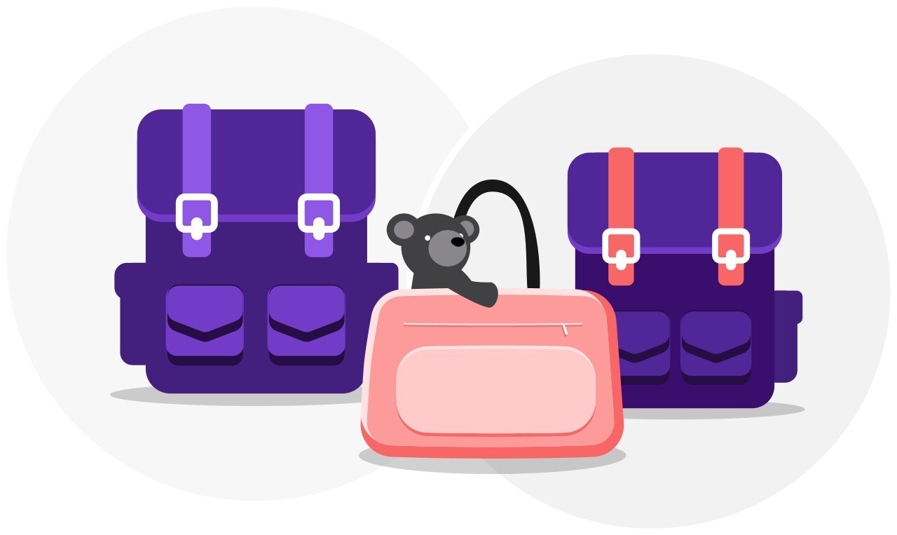 Infant carry-on baggage allowance option 2